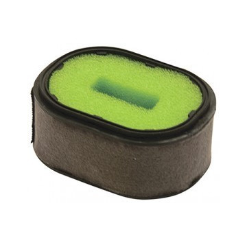 Filtre à air de...