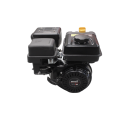 Moteur Complet Neuf MTD...