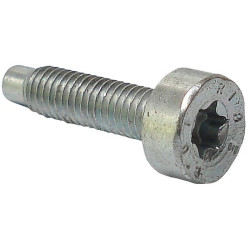 Vis cylindrique is-m5x20 d'origine Stihl référence 0000 951 1109 livré par 10