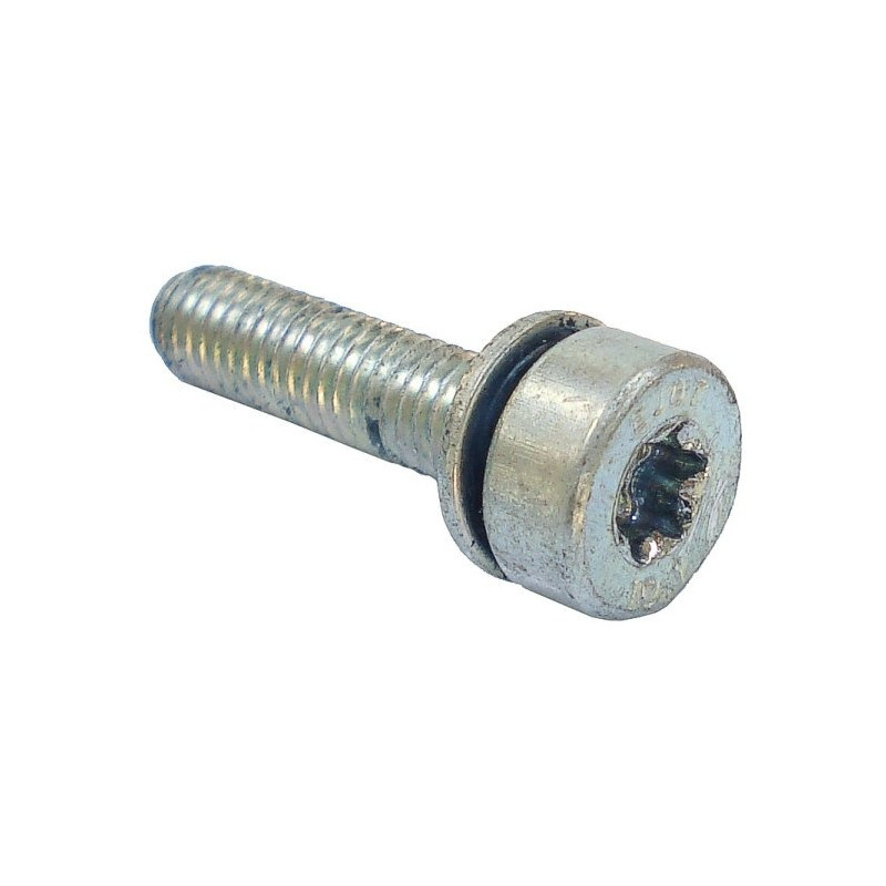 Vis cylindrique IS-M5x20 d'origine Stihl référence 9022 341 1019