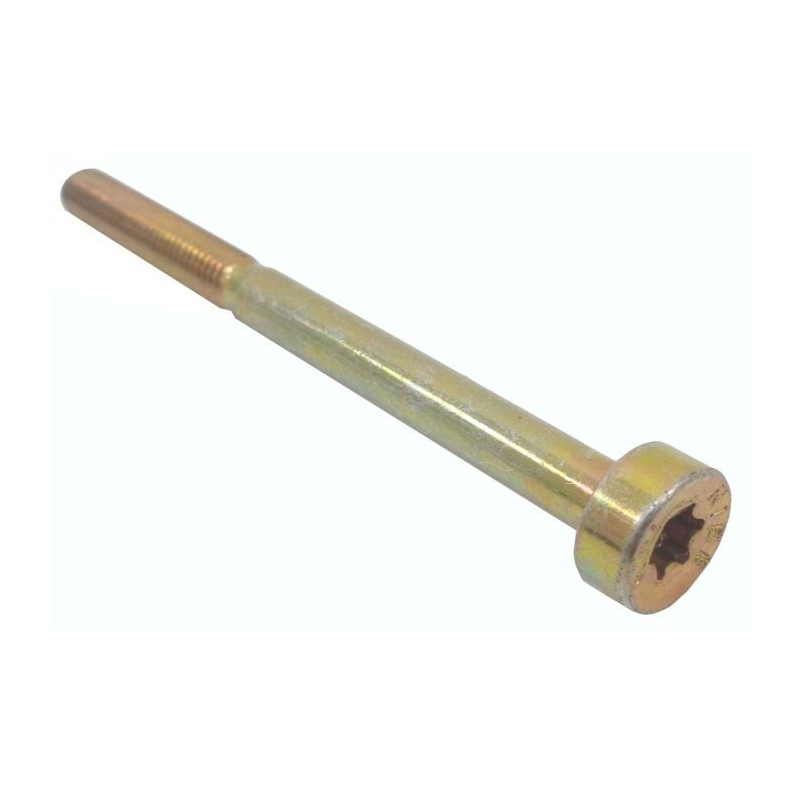 Vis cylindrique IS-M5x65x25 d'origine Stihl référence 9022 341 1150