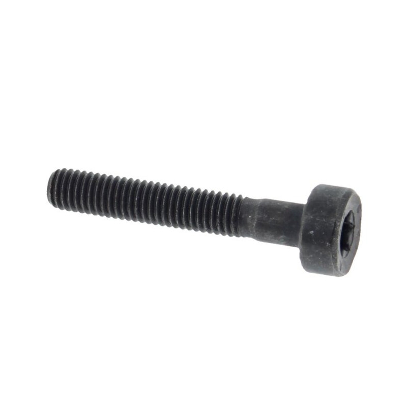 Vis cylindrique IS-M5x30x22-12.9 d'origine Stihl référence 9022 373 1070