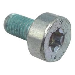Vis cylindrique IS-M5x10 d'origine Stihl référence 9022 399 0950