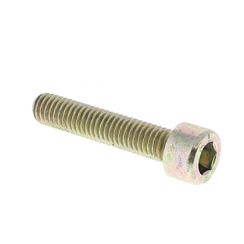Vis cylindrique M6x30 d'origine Stihl référence 9045 319 1370 livré par 10