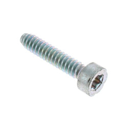 Vis cylindrique IS-D5x24 d'origine Stihl référence 9075 478 4155 livré par 10