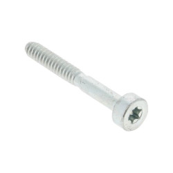 Vis cylindrique IS D5x40 d'origine Stihl référence 9075 478 4186