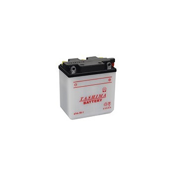 Batterie plomb TASHIMA 6V,...