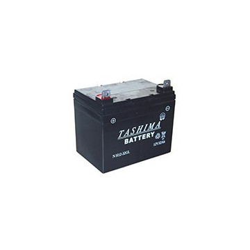 Batterie TASHIMA gel/agm...