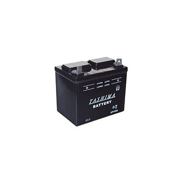 Batterie plomb TASHIMA pour...