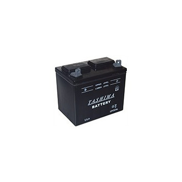 Batterie plomb TASHIMA pour...
