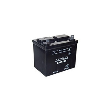 Batterie plomb TASHIMA pour...