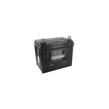 Batterie pour tondeuse...