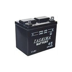 Batterie plomb TASHIMA pour...