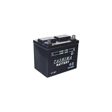 Batterie plomb TASHIMA pour...