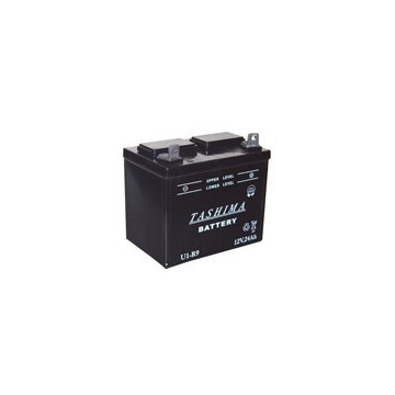 Batterie plomb TASHIMA pour...