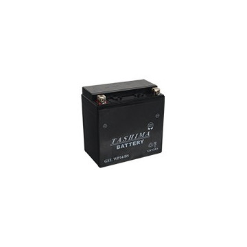 Batterie plomb étanche...