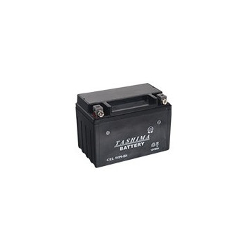 Batterie plomb étanche...