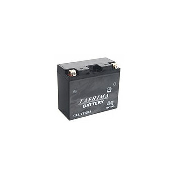 Batterie plomb étanche 12V...