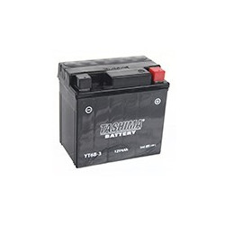 Batterie plomb étanche 12V...