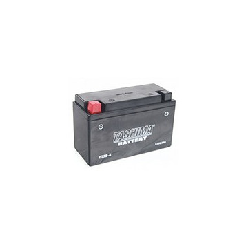 Batterie plomb étanche 12V...