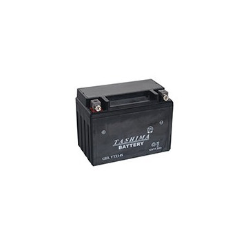 Batterie plomb étanche 12V...