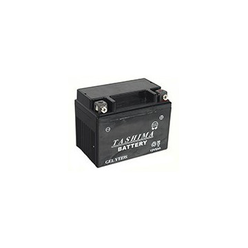 Batterie plomb étanche 12V...