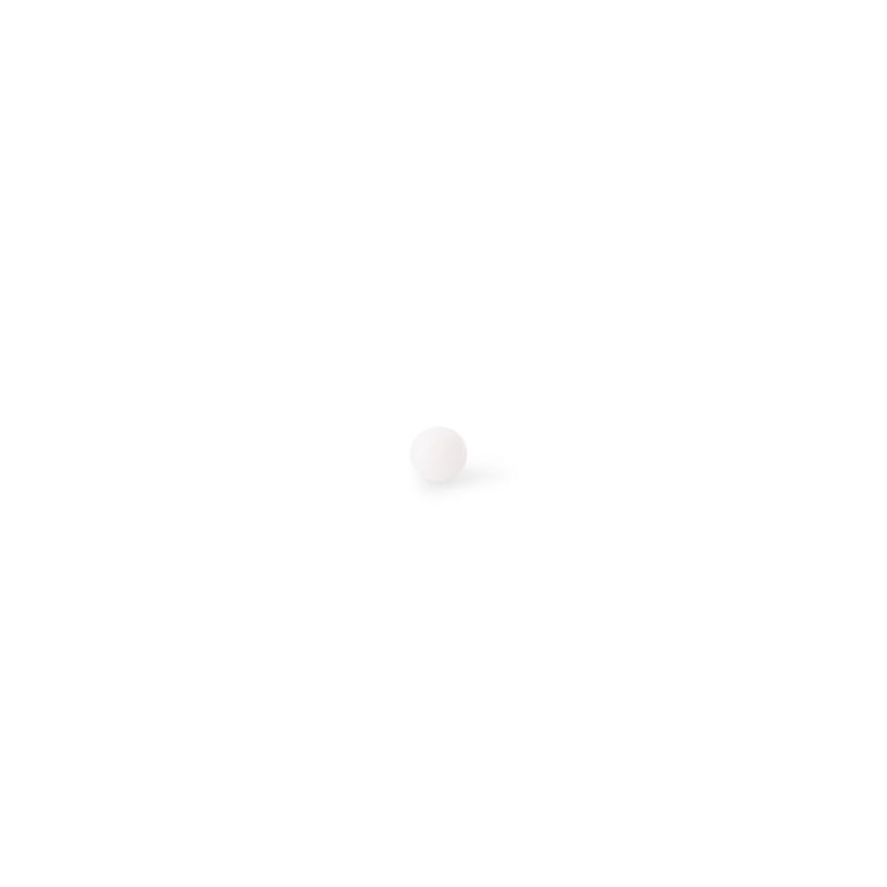 BALL 6,35MM POM d'origine Husqvarna référence 5810840-01
