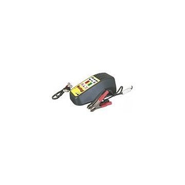 Chargeur de batterie...