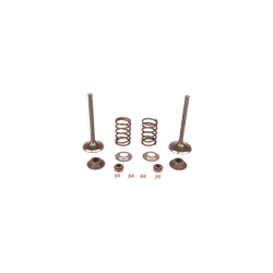 KIT DE VALVE d'origine Husqvarna référence 5909717-01