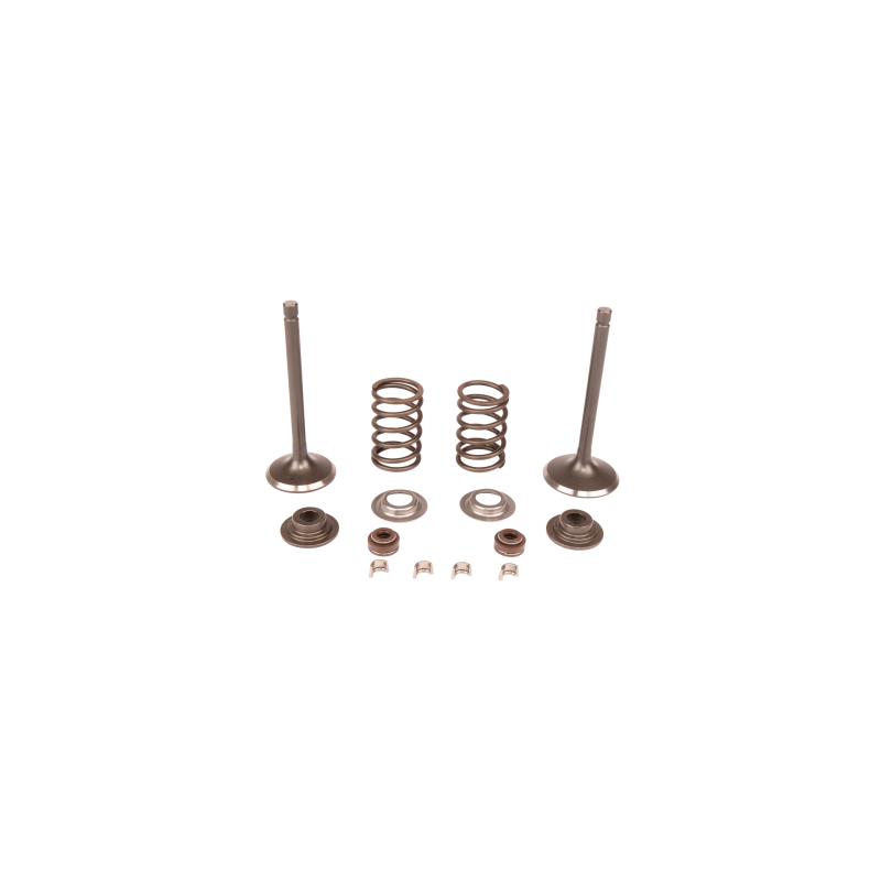 KIT DE VALVE d'origine Husqvarna référence 5909717-01