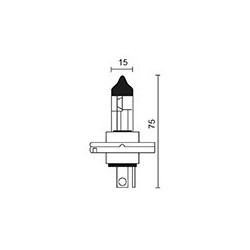 Ampoule Halogène 12V -...