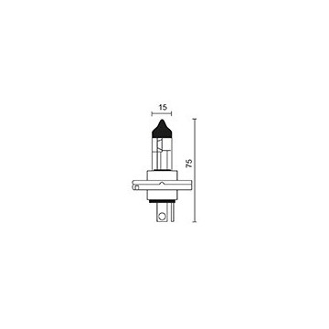 Ampoule Halogène 12V -...