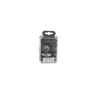 Coffret de 5 ampoules 12V...