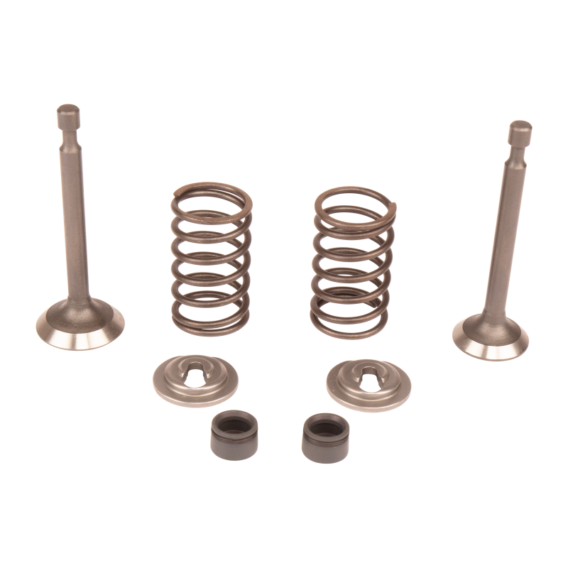 KIT DE VALVE d'origine Husqvarna référence 5993490-42
