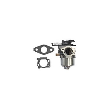 Carburateur BRIGGS &amp;...