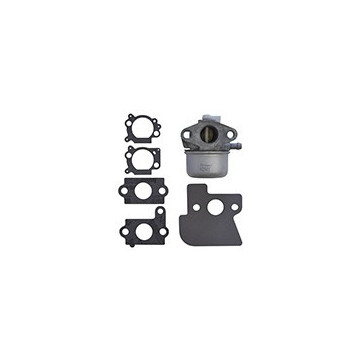 Carburateur BRIGGS &amp;...
