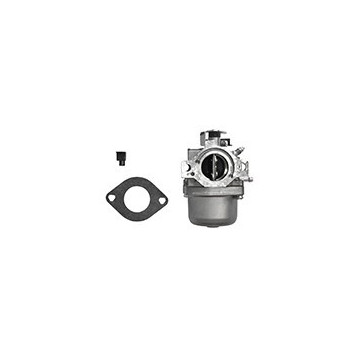 Carburateur BRIGGS &amp;...
