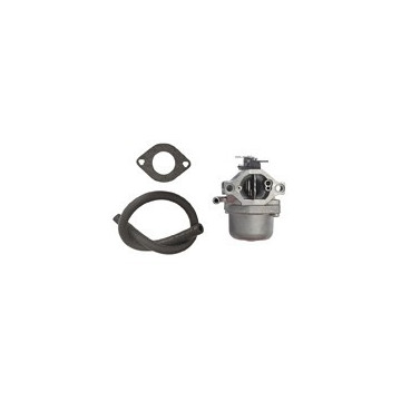 Carburateur BRIGGS &amp;...