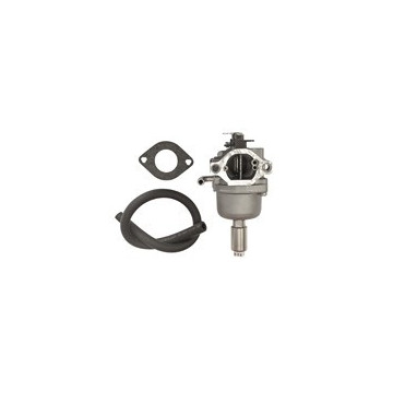 Carburateur pour moteur OHV...