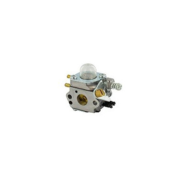 Carburateur C1U-K53