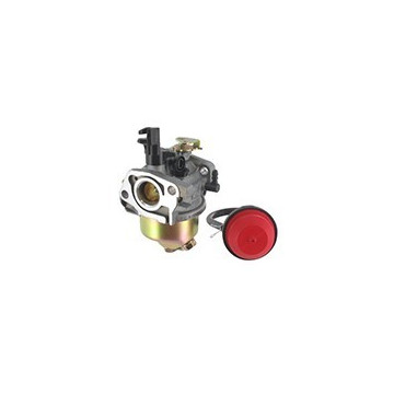 Carburateur adaptable MTD...