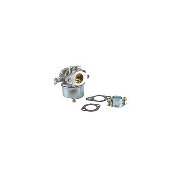 Carburateur adaptable TECUMSEH
