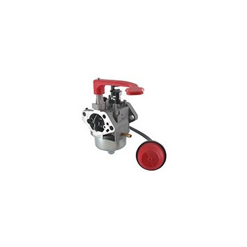 Carburateur LONCIN pour...