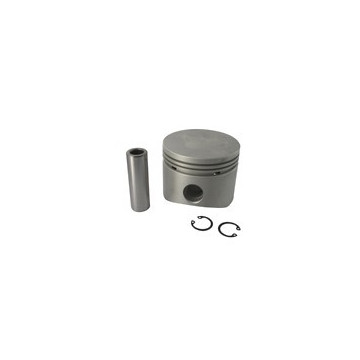 Piston  adaptable pour...