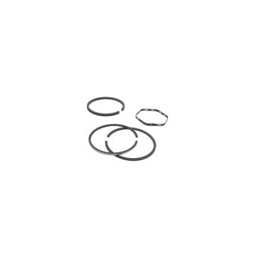 Jeu de segments Ø 74,36mm...