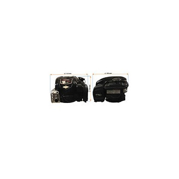 Moteur BRIGGS &amp;...