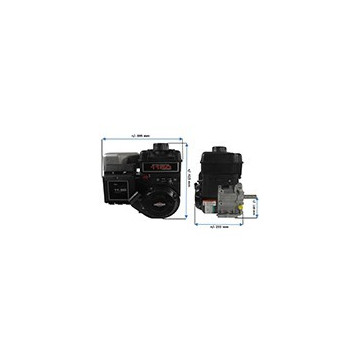Moteur BRIGGS &amp;...