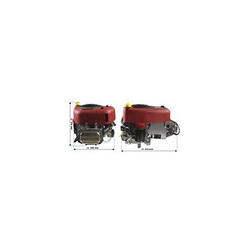 Moteur BRIGGS &amp;...
