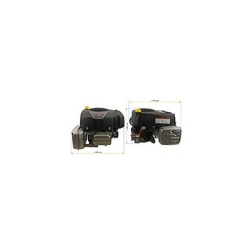 Moteur BRIGGS &amp;...