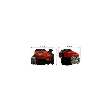Moteur BRIGGS &amp;...